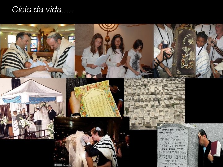 Ciclo da vida. . . 