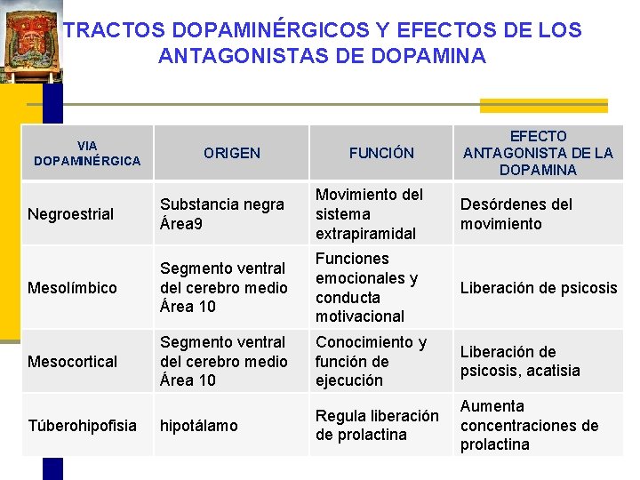 TRACTOS DOPAMINÉRGICOS Y EFECTOS DE LOS ANTAGONISTAS DE DOPAMINA VIA DOPAMINÉRGICA ORIGEN FUNCIÓN EFECTO