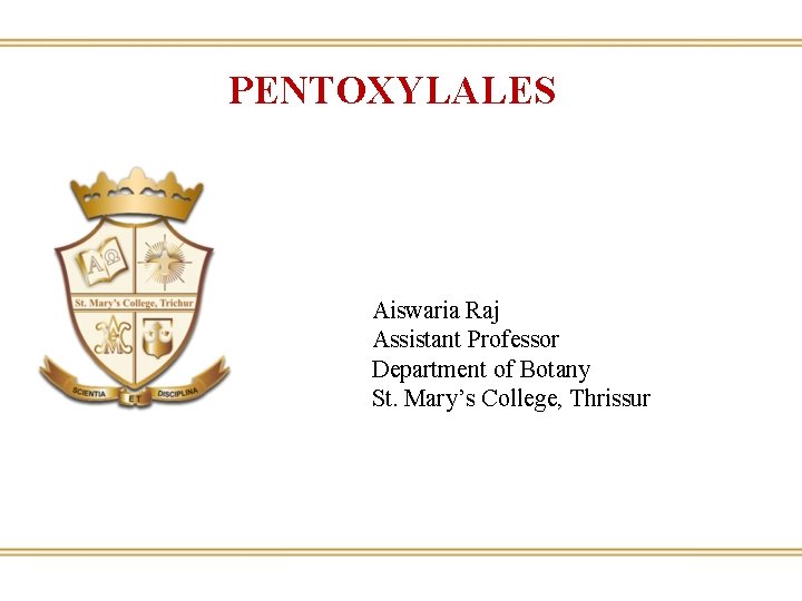 PENTOXYLALES Aiswaria Raj Assistant Professor Department of Botany St. Mary’s College, Thrissur 