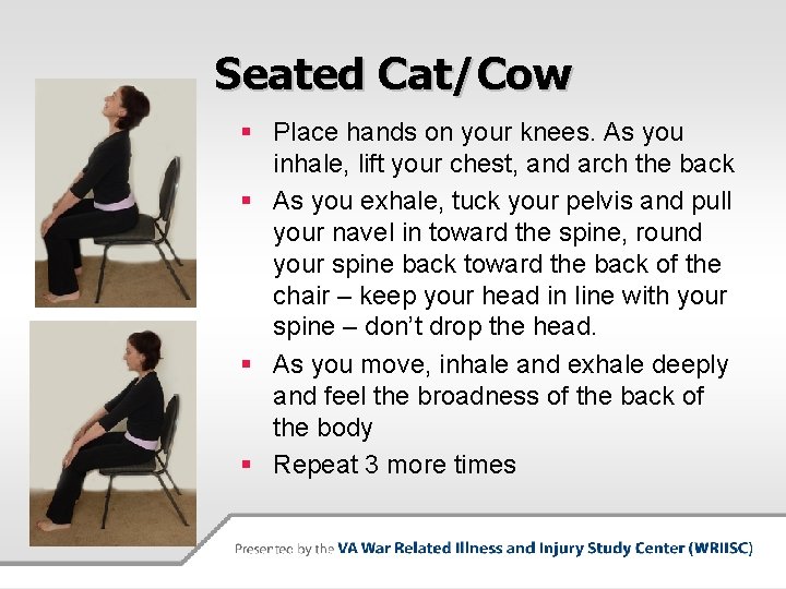 Seated Cat/Cow § Place hands on your knees. As you inhale, lift your chest,