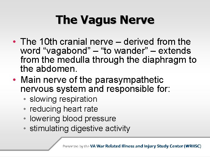 The Vagus Nerve • The 10 th cranial nerve – derived from the word
