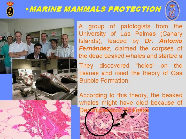  • MARINE MAMMALS PROTECTION A group of patologists from the University of Las