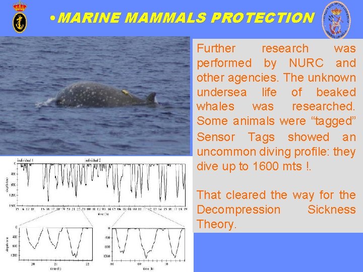  • MARINE MAMMALS PROTECTION Further research was performed by NURC and other agencies.