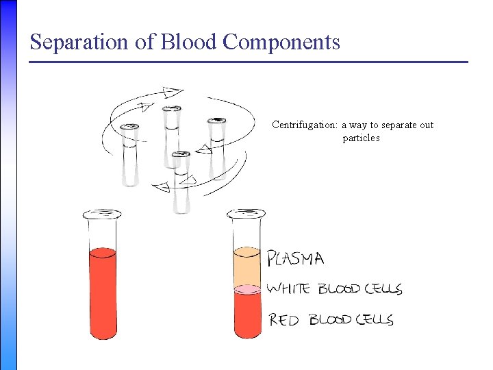 Separation of Blood Components Centrifugation: a way to separate out particles 