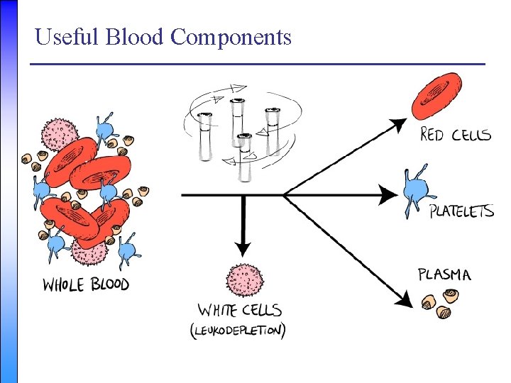 Useful Blood Components 