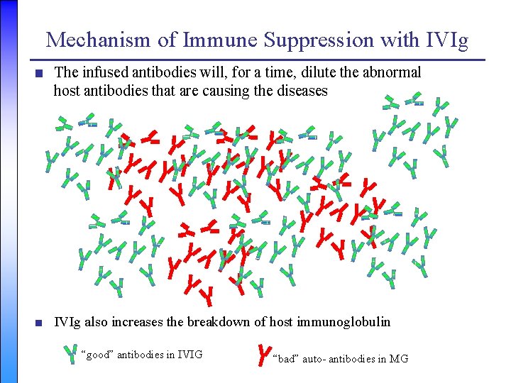 Mechanism of Immune Suppression with IVIg ■ The infused antibodies will, for a time,
