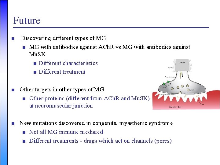 Future ■ Discovering different types of MG ■ MG with antibodies against ACh. R