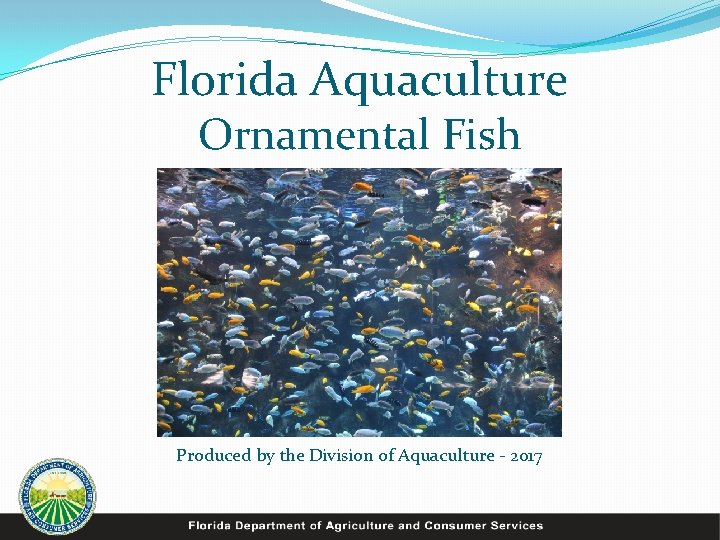 Florida Aquaculture Ornamental Fish Produced by the Division of Aquaculture - 2017 