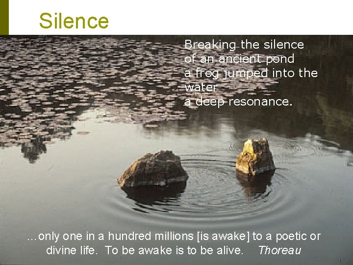 Silence Breaking the silence of an ancient pond a frog jumped into the water