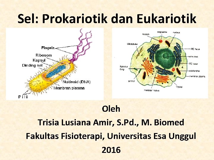 Sel: Prokariotik dan Eukariotik Oleh Trisia Lusiana Amir, S. Pd. , M. Biomed Fakultas
