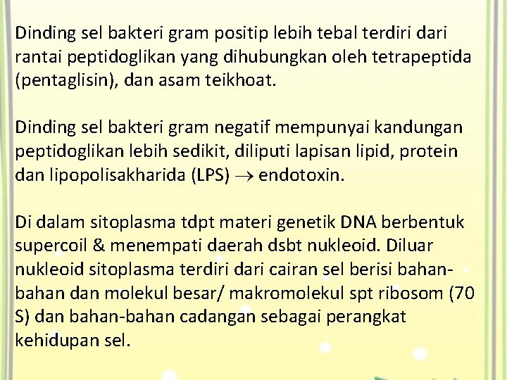 Dinding sel bakteri gram positip lebih tebal terdiri dari rantai peptidoglikan yang dihubungkan oleh