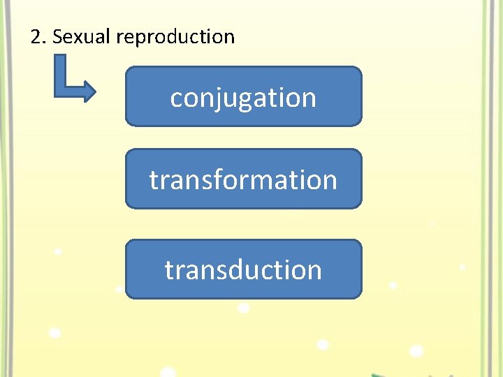 2. Sexual reproduction conjugation transformation transduction 