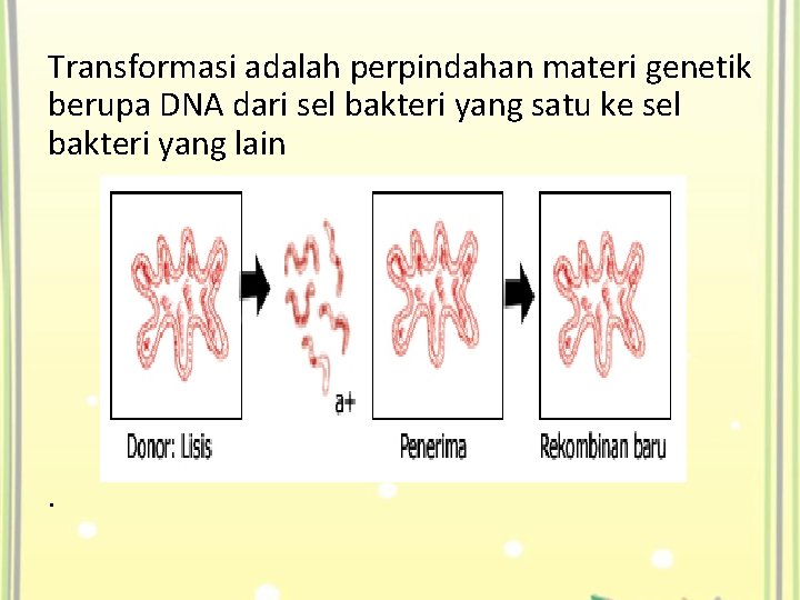 Transformasi adalah perpindahan materi genetik berupa DNA dari sel bakteri yang satu ke sel