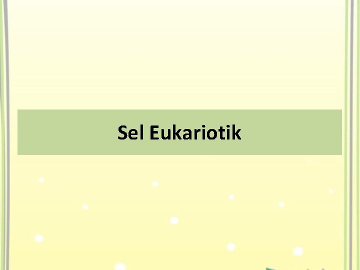 Sel Eukariotik 