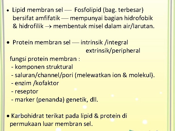  Lipid membran sel Fosfolipid (bag. terbesar) bersifat amfifatik mempunyai bagian hidrofobik & hidrofilik