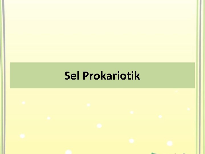 Sel Prokariotik 