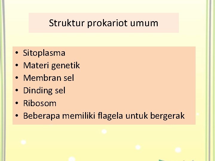 Struktur prokariot umum • • • Sitoplasma Materi genetik Membran sel Dinding sel Ribosom