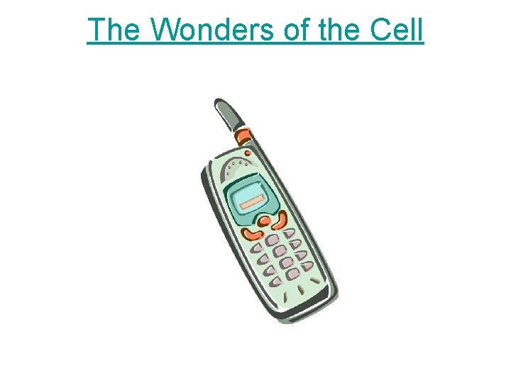 The Wonders of the Cell 