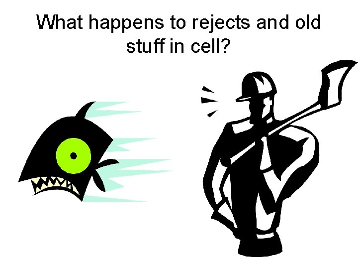 What happens to rejects and old stuff in cell? 