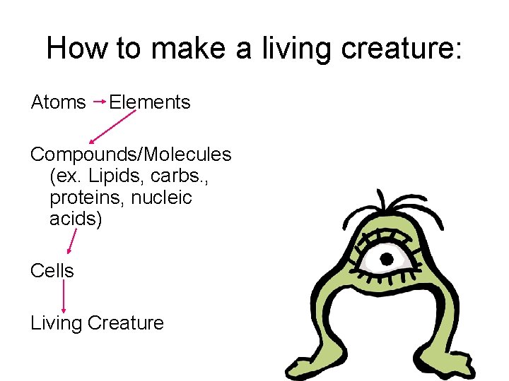 How to make a living creature: Atoms Elements Compounds/Molecules (ex. Lipids, carbs. , proteins,