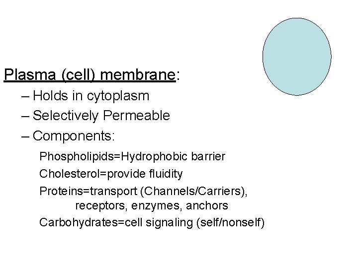 Plasma (cell) membrane: – Holds in cytoplasm – Selectively Permeable – Components: Phospholipids=Hydrophobic barrier