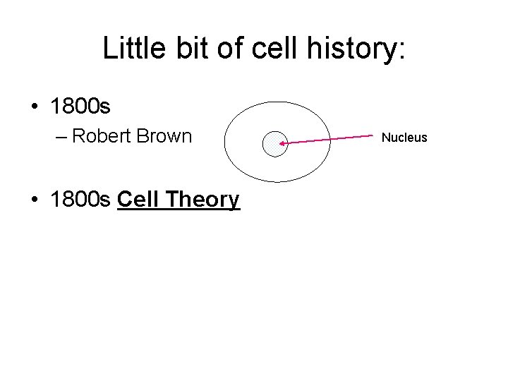 Little bit of cell history: • 1800 s – Robert Brown • 1800 s