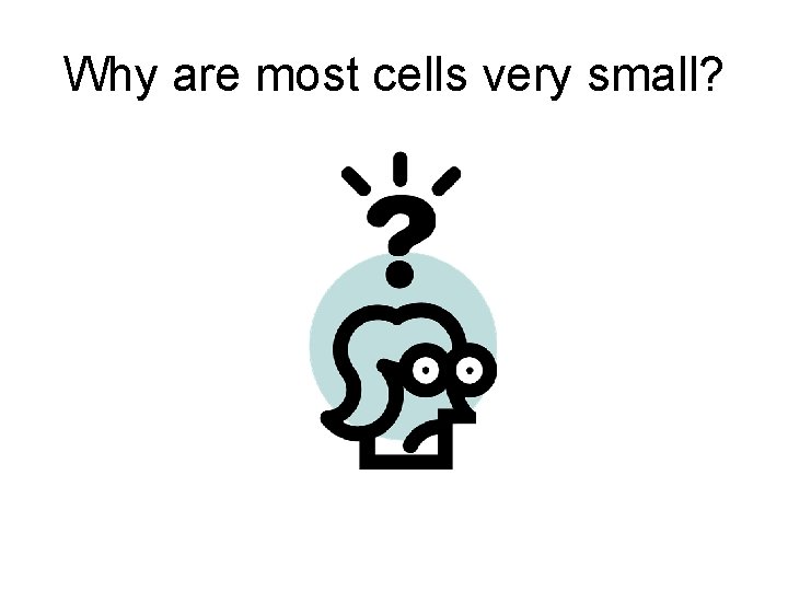 Why are most cells very small? 