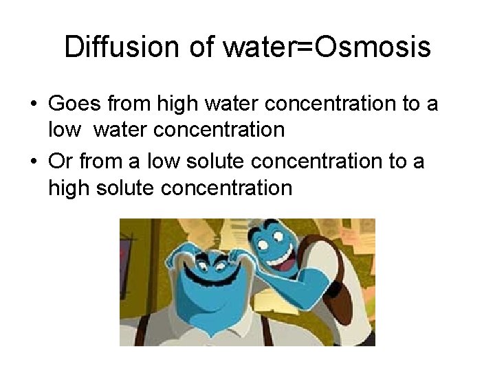 Diffusion of water=Osmosis • Goes from high water concentration to a low water concentration