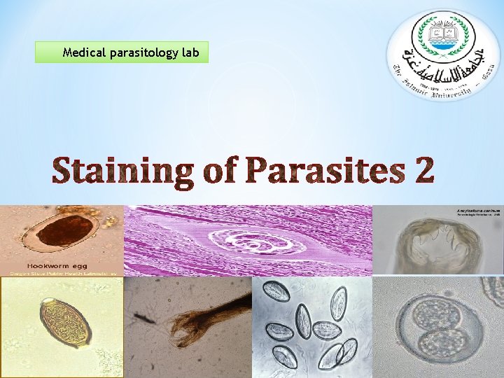 Medical parasitology lab 