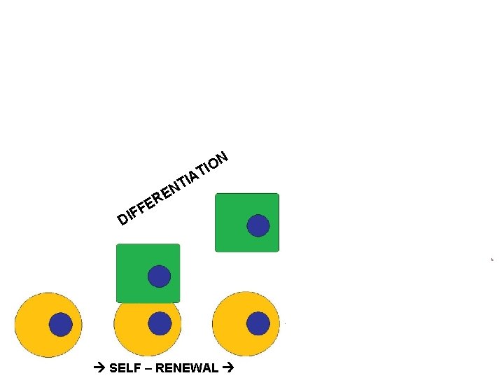 N O I T N TIO IA T N F DI RE E F