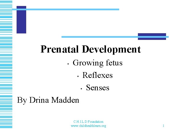 Prenatal Development Growing fetus • Reflexes • Senses By Drina Madden • C. H.