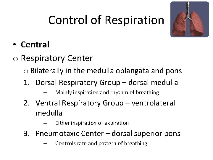 Control of Respiration • Central o Respiratory Center o Bilaterally in the medulla oblangata