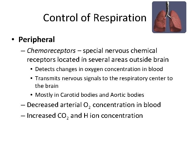 Control of Respiration • Peripheral – Chemoreceptors – special nervous chemical receptors located in