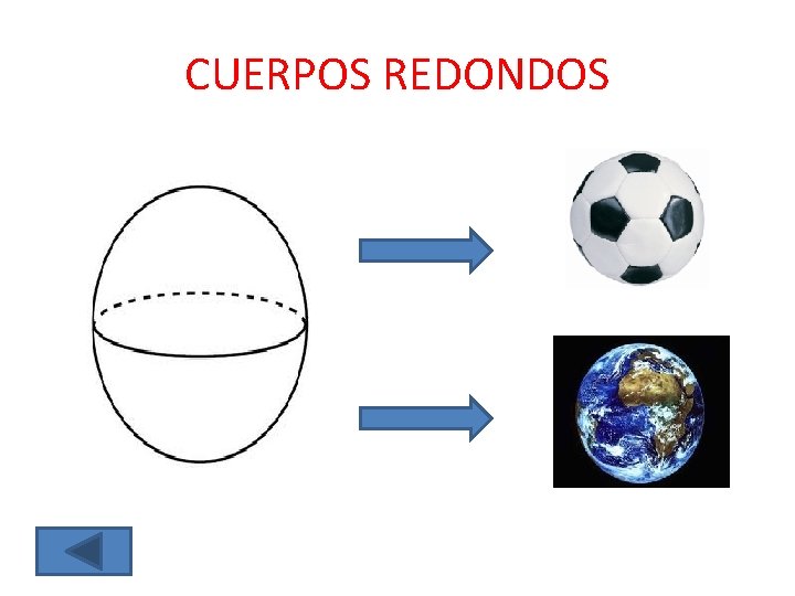 CUERPOS REDONDOS CUERPOS REDONDOS