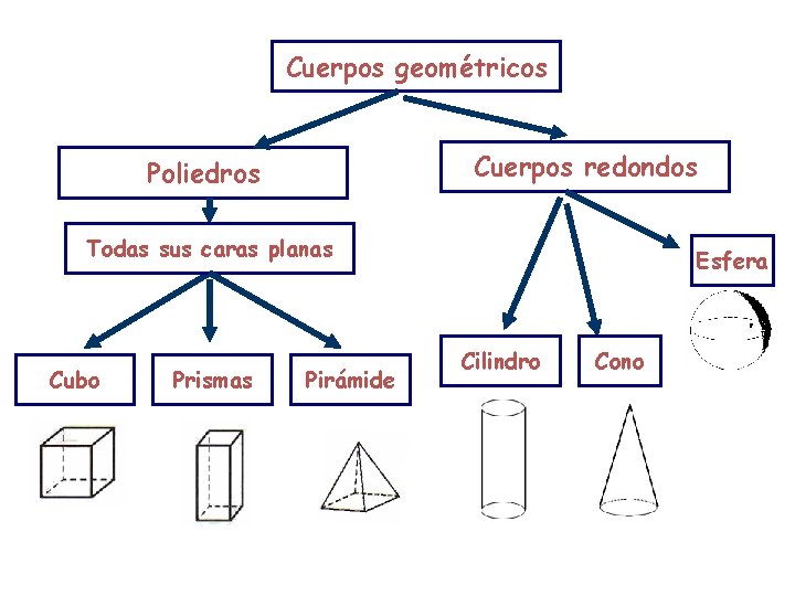 Cuerpos geométricos Cuerpos redondos Poliedros Todas sus caras planas Cubo Prismas Pirámide Esfera Cilindro Cuerpos geométricos Cuerpos redondos Poliedros Todas sus caras planas Cubo Prismas Pirámide Esfera Cilindro
