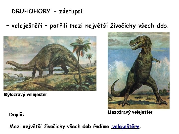 DRUHOHORY - zástupci – veleještěři – patřili mezi největší živočichy všech dob. Býložravý veleještěr