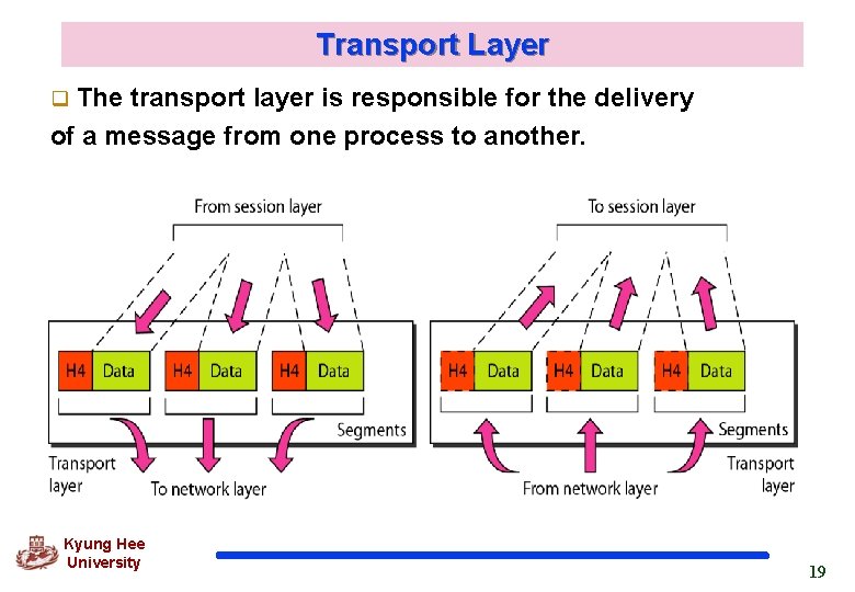 Transport Layer q The transport layer is responsible for the delivery of a message