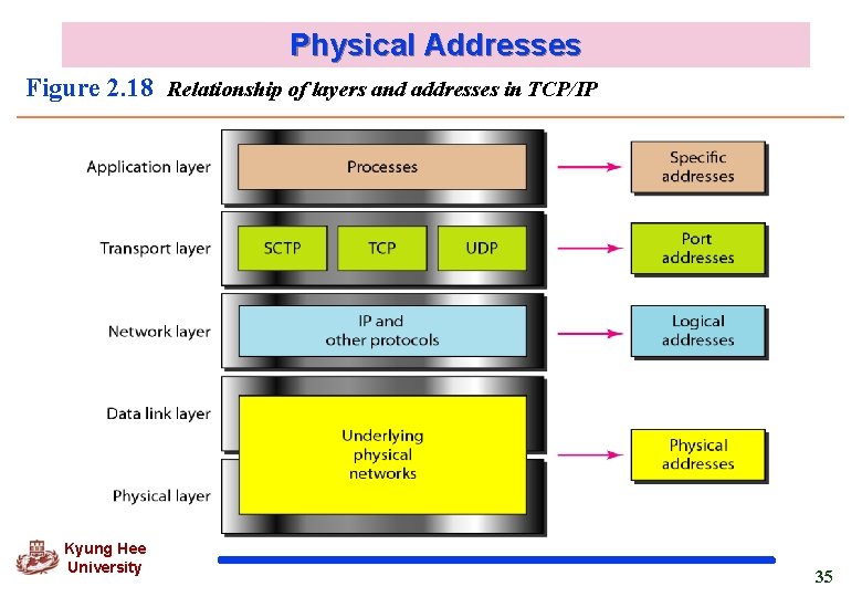 Physical Addresses Figure 2. 18 Relationship of layers and addresses in TCP/IP Kyung Hee