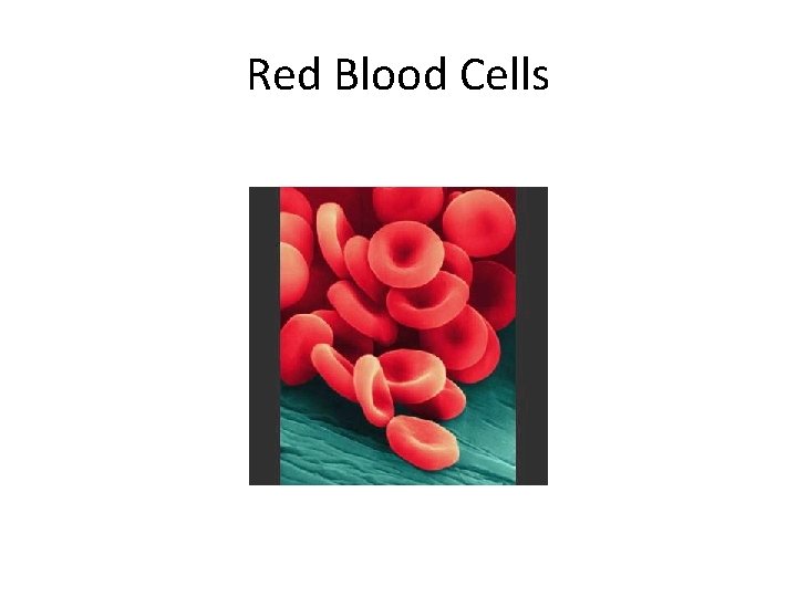 Red Blood Cells 