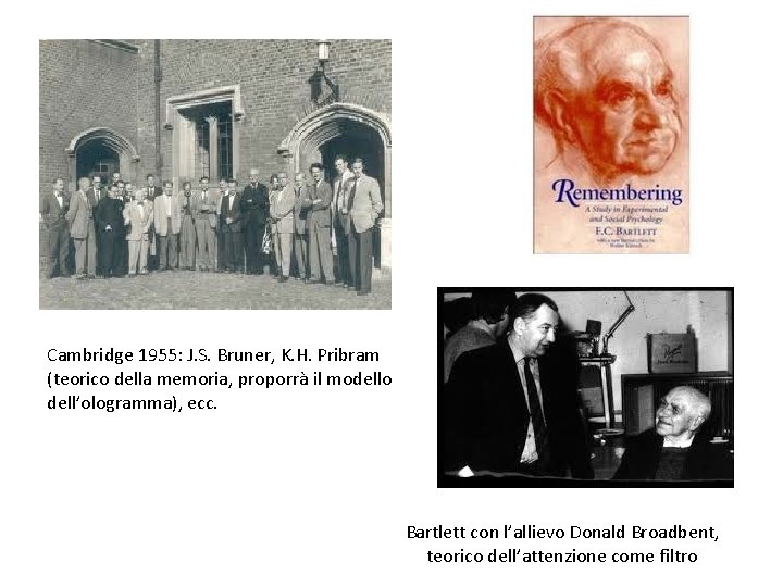 Cambridge 1955: J. S. Bruner, K. H. Pribram (teorico della memoria, proporrà il modello
