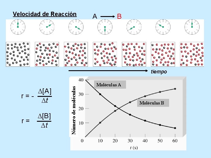 Velocidad de Reacción A B D[A] r=Dt r= D[B] Dt Número de moléculas tiempo