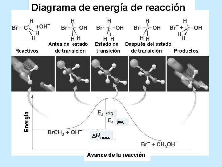 Diagrama de energía de reacción Energía Reactivos Antes del estado de transición Estado de
