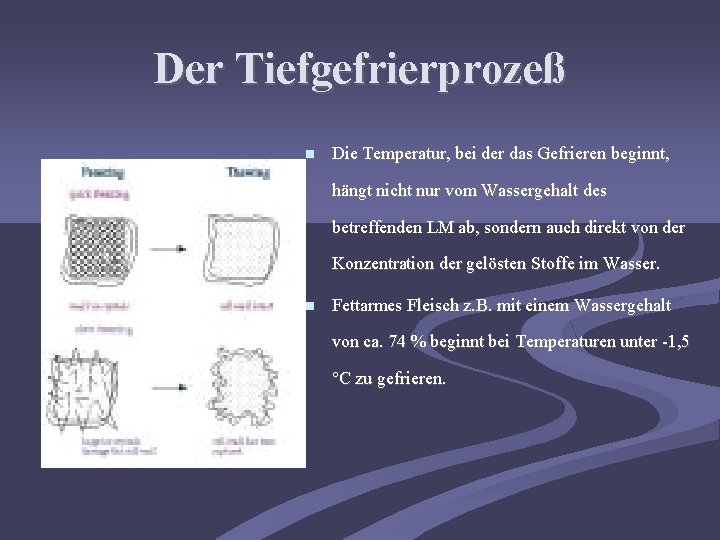 Der Tiefgefrierprozeß Die Temperatur, bei der das Gefrieren beginnt, hängt nicht nur vom Wassergehalt