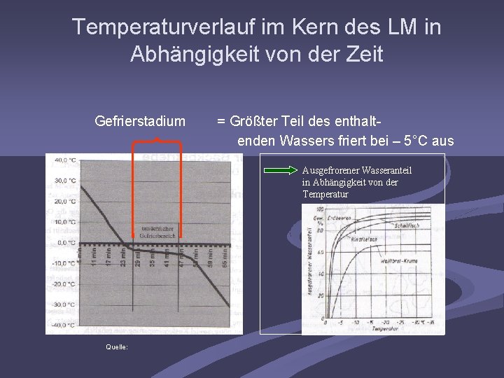 Temperaturverlauf im Kern des LM in Abhängigkeit von der Zeit Gefrierstadium = Größter Teil