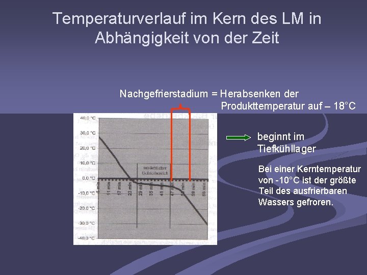 Temperaturverlauf im Kern des LM in Abhängigkeit von der Zeit Nachgefrierstadium = Herabsenken der