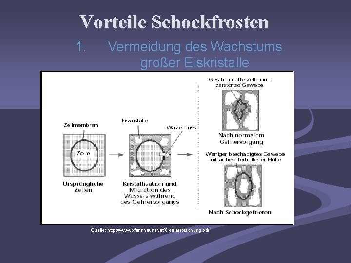 Vorteile Schockfrosten 1. Vermeidung des Wachstums großer Eiskristalle Quelle: http: //www. pfannhauser. at/Gefrierforschung. pdf