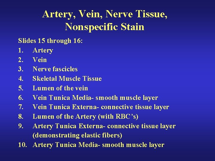 Artery, Vein, Nerve Tissue, Nonspecific Stain Slides 15 through 16: 1. Artery 2. Vein