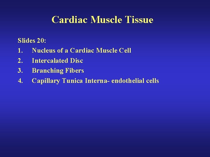 Cardiac Muscle Tissue Slides 20: 1. Nucleus of a Cardiac Muscle Cell 2. Intercalated