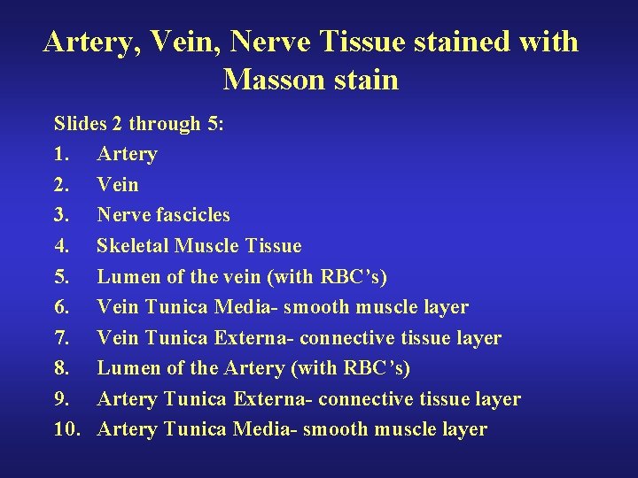 Artery, Vein, Nerve Tissue stained with Masson stain Slides 2 through 5: 1. Artery