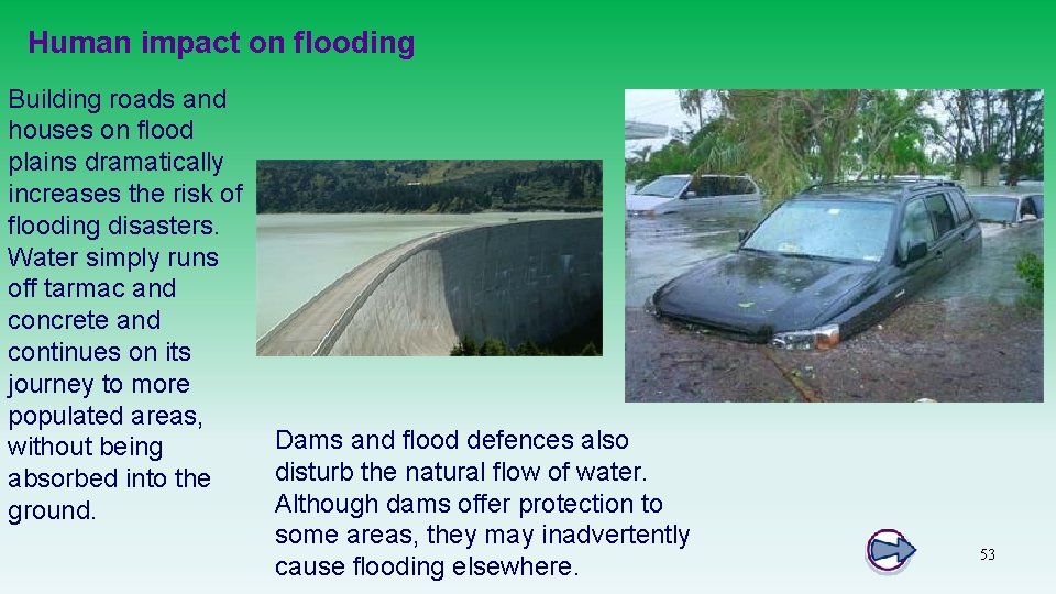 Human impact on flooding Building roads and houses on flood plains dramatically increases the